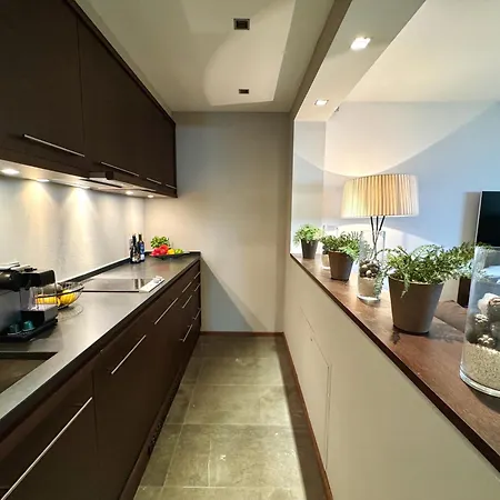 Kitz Deluxe 1 & 2 Im Zentrum Mit Eigenem & Parken By Belle-stay Apartman *