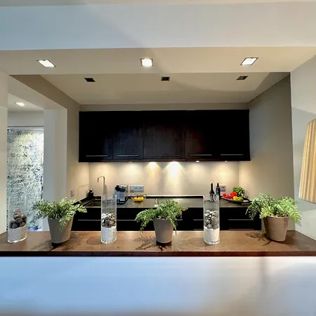 Daire Kitz Deluxe 1 & 2 Im Zentrum Mit Eigenem & Parken By Belle-stay Kitzbühel