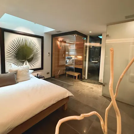Kitz Deluxe 1 & 2 Im Zentrum Mit Eigenem & Parken By Belle-stay Appartement Kitzbühel